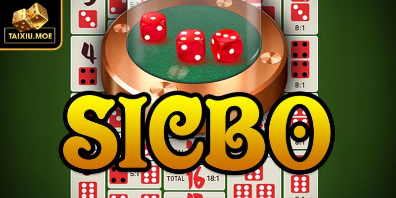 Hiểu lầm căn bản về sicbo nguồn gốc thất bại
